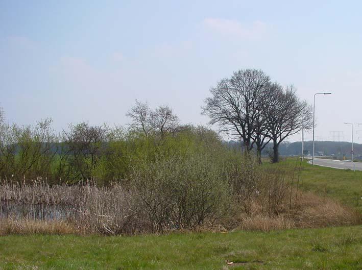 De knoflookpad in Noord-Brabant in 2003 3.12 Zwaluwenbunders De Zwaluwenbunders ligt ten noordwesten van Tilburg. In 1987 zijn er voor het laatst knoflookpadden waargenomen (Crombaghs et al., 1993).