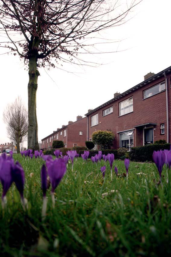 Op verzoek van de klankbordgroep willen we de bewoners uit de aangewezen sloopwoningen fase 2 en 3 ook de mogelijkheid bieden om zich alvast in te schrijven bij ProWonen.