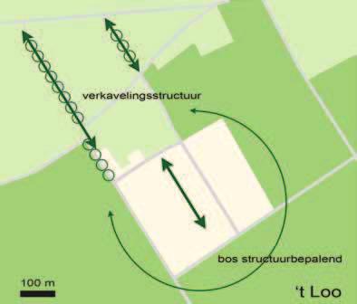2 Groenstructuur TOEKOMSTIGE GROENSTRUCTUUR Visie: Het dorp ligt op de landschappelijke overgang van Veluwe naar het polderlandschap, waarin de lijnvormige beplantingselementen loodrecht op de