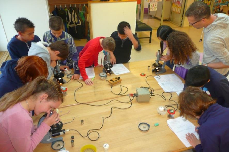 Groep 8 De Regenboog doet onderzoek Donderdag 27 november hebben de kinderen van de Regenboog allerhande dingen onderzocht met microscopen.