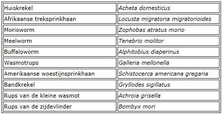 Overheden en insectenkweek Insecten goedgekeurd voor humane consumptie Lijst FAVV, Levensmiddelenwetgeving + Advies wetenschappelijk comité Hygiënepraktijken Traceerbaarheid Meldingsplicht