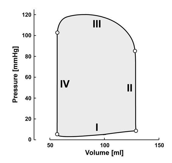 2 0 1 4-2 0 1 5 t o e t s 1. 2 N L 19 66 Gegeven afbeelding: druk-volume lus van het linker ventrikel.
