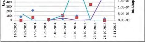 In 2014 en 2015 is DNA onderzoek uitgevoerd om de bron van verontreiniging vast te stellen.