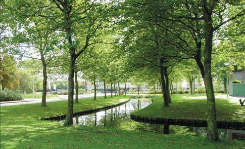 4.5 Water Beschrijving De Bouwen heeft nauwelijks oppervlaktewater: in het noordelijke deel van de wijk in het Reidingpark en in het zuidelijke deel rondom de begraafplaats en in een enkele berm Een