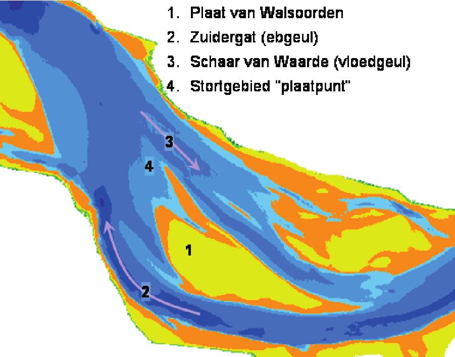 esterschelde Het Port of Antwerp Expert Team (PAET) formuleerde in 2001 het idee om baggerspecie aan te wenden om het Schelde-estuarium morfologisch en ecologisch gezonder te maken.