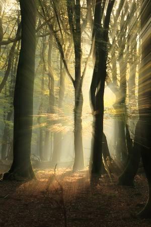 Voor geregistreerde vrijwilligers van Natuurmonumenten geldt een andere korting bij workshops.