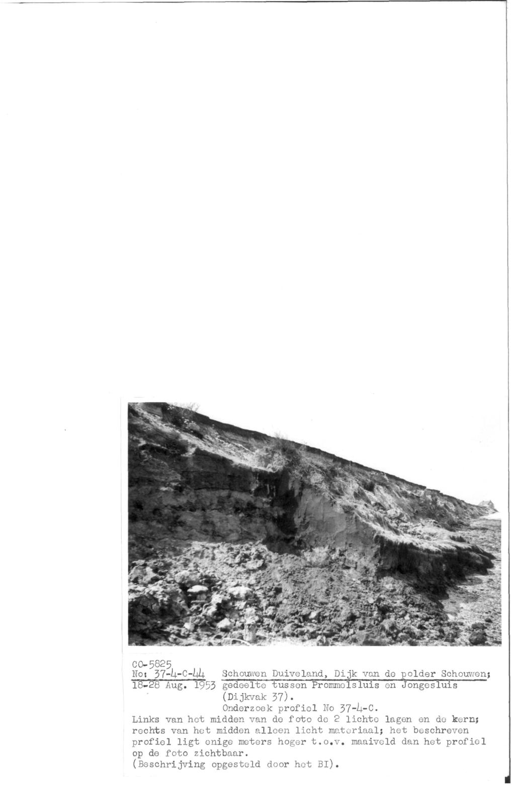 CO-5825 No; 37-h-C-hh Schouwen Duiveland, Dijk van do polder Schouwen; 18-28 Aug. 1953 gedeelte tussen Prommolsluis en Jongesluis (Dijkvak 37). Onderzoek profiel No 37-^4-C.