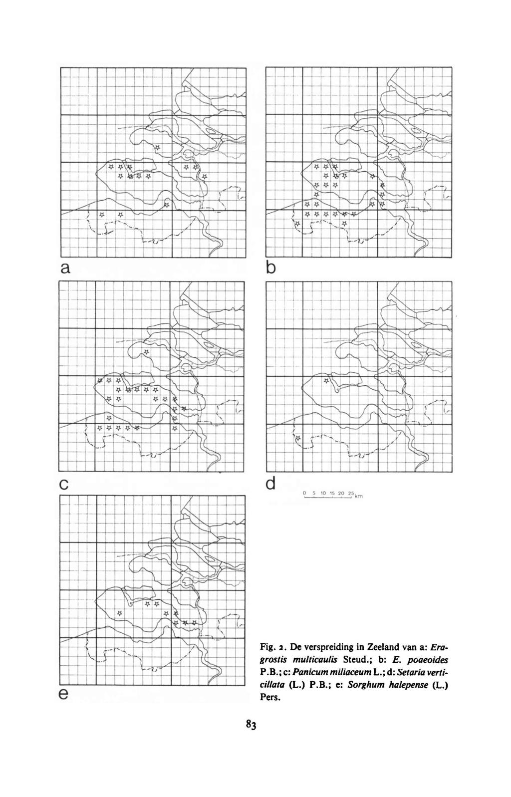 cillata Fig. 2. De verspreiding in Zeeland van a: Eragrostis multicaulis Steud.; b: E.
