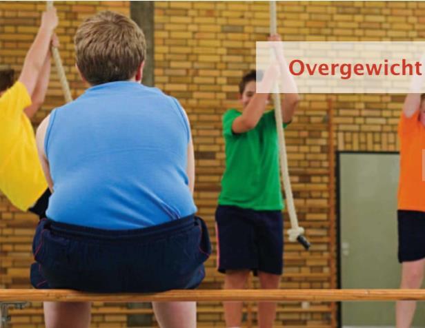 ehealth SHINE project over zorginnovatie Vlaanderen / Schotland / Zuid-Holland 18 Maatschappelijke uitdaging: Kinderen met overgewicht te weinig bewegen verkeerde voeding Oplossingsrichting Serious