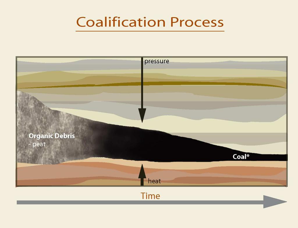 Het inkolings (maturatie) proces Maturation of coal: release of