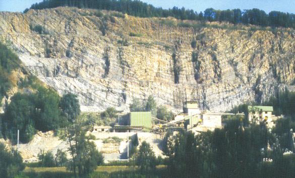 De benaming Grand Antique zinspeelt op een meer prestigieuze in Frankrijk ontgonnen marmer, de Grand Antique des Pyrénées, dat geen lamellaire stromatoporen bevat maar een zwart-witte breccie is.