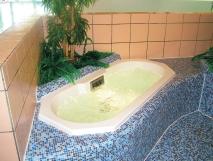 Whirlpooltuin: De whirlpooltuin ligt volledig gescheiden van de overige baden en is voorzien van 3 geurbaden. 1.