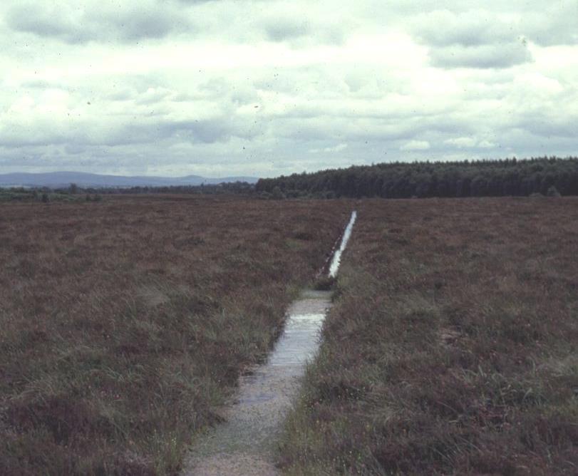 van de helling van de verhanglijn langs de watergang. Een goed voorbeeld is de oostelijke helft van Clara Bog (Ierland).