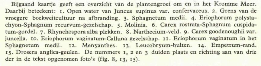 In een tweede artikel gaat Jonas (1932b) verder in op de plantengroei van het Kromme Meer