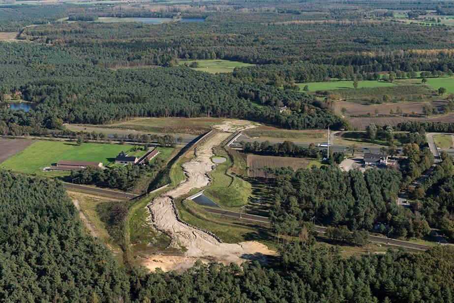 gezamenlijk de nieuwe MJPOnatuurbrug Weerterbergen geopend (zie bijlage D). ProRail heeft in dit project ook de bruggen mede namens Rijkswaterstaat gebouwd.