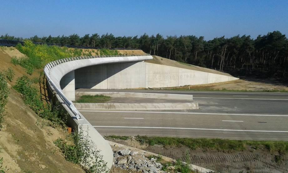 Kempengrens In november hebben vertegenwoordigers van de Vlaamse en Noord- Brabantse overheid het landgrensoverschrijdende MJPO-ecoduct Kempengrens geopend (zie bijlage D).