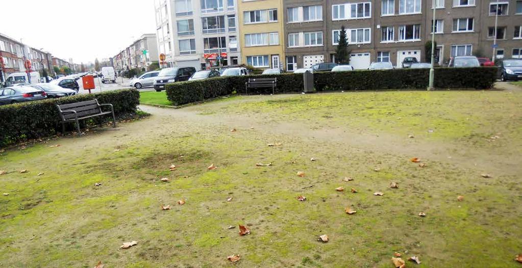 Uitrijdende wagens zien fietsers of andere wagens slecht