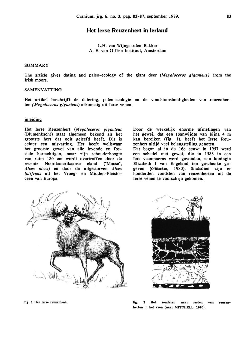 Cranium, jrg. 6, no. 3, pag. 8387, September 1989. 83 Het Ierse Reuzenhert in Ierland L.H. van WijngaardenBakker A. E.