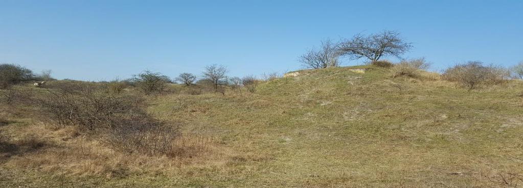 De bunker is eigendom van stichting Het Zuid-Hollands Landschap en wordt beheerd door de Stichting Biberbunker die zich inzet om de cultuurhistorische waarde van de bunker te behouden.