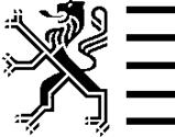 Vlaamse overheid Agentschap Inspectie RWO Toezichtproject Controle op de registers, de inschrijvingen, de toewijzingen en de verkoopprijzen van sociale kavels Rapport 2013 nspectie RWO Toezicht