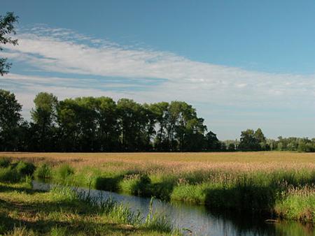 Zo is er de kinderboerderij, de kinderspeeltuin, het bastion, het doolhof, een midgetgolfbaan, het Glazen Huis,