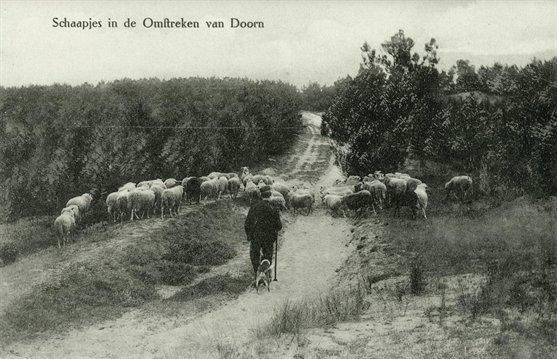 Overigens kon de wetenschap de boeren er maar moeizaam van overtuigen dat kunstmest minstens zo goed werkte als echte mest.