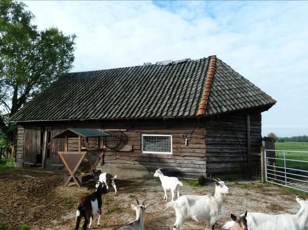 Achter het boerenerf van zorgboerderij De Dijckhof in Driebergen Rijsenburg ligt een schaapskooi in het veld. De kooi wordt tegenwoordig gebruikt als opslagplaats. 1.