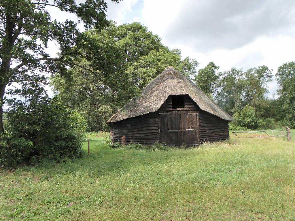 functies voor deze gebouwen, blijken deze bestemmingen daar niet voldoende ruimte voor te bieden.