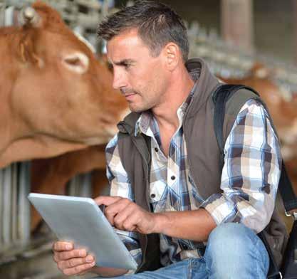 PRIMAIRE SECTOR Diergeneesmiddelen op het landbouwbedrijf Vademecum voor de veehouder: Modaliteiten