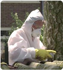 Toepassing van asbest: normen Milieutechnische normen Niet opzettelijke in de grondgebracht: 100 mg per kg ds (serpentijnconcentratie vermeerderd met tienmaal de amfiboolconcentratie) Niet