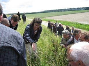 De dijken hebben een ecologisch belang: - Een langdurig extensief gebruik - Grote variatie in voorkomende plantensoorten (nectar- en waardplanten) - Grote verscheidenheid (zowel landschappelijk als