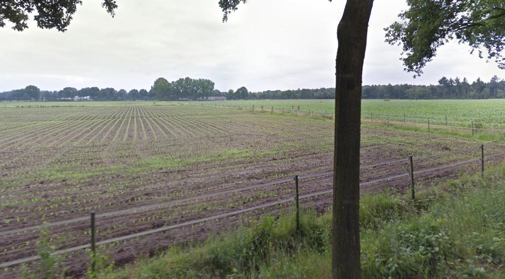 omgeving De planlocatie Donte 8 is gelegen in het agrarisch gebied tussen de kernen Nijnsel en Mariahout.
