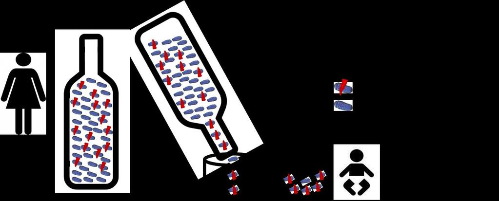 Figuur 4: het aantal foute mitochondrien bij het kind is zeer variabel en onvoorspelbaar PGD (embryoselectie) voor fouten in het mitochondrieel DNA Terug nu naar een alternatief voor prenatale