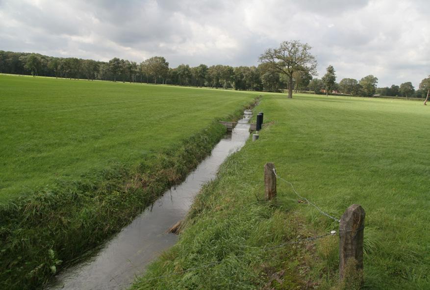 10. MEETSTUWEN - DOORSTROOM Doel: Waarborgen van de functionaliteit van de