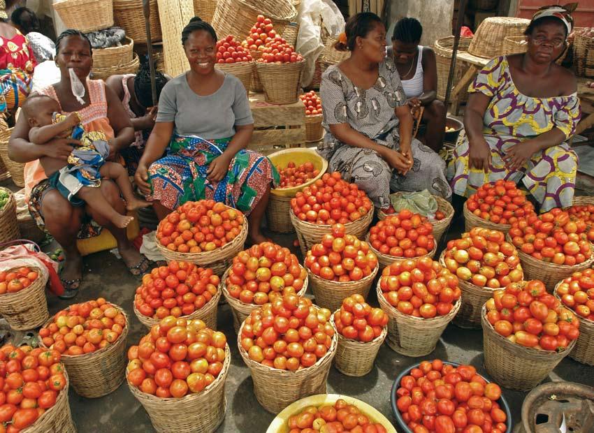 Welk gewas moet ik telen? Ik weet het echt niet meer. Maliké Bomboma, Togo De familie van Maliké Bomboma weet niet meer wat ze moet planten.