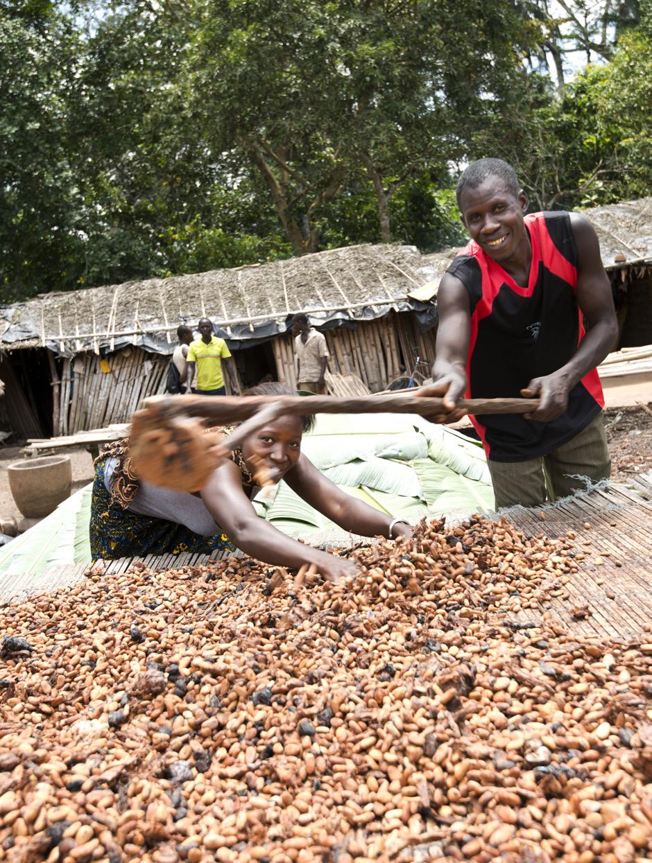 3.1 Focus op Ivoorkust Ivoorkust is het belangrijkste cacaoproducerende land ter wereld en is goed voor zo n 35% van de wereldwijde productie.