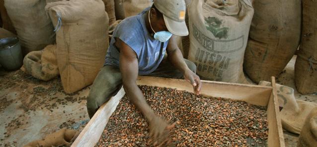cacaoproducerende landen en in de keten. Wat broodnodig is, zijn moedige mededingingswetten die voldoende competitie garanderen.