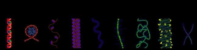 worden), of tot chromosomen wanneer een cel gaat delen.