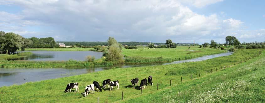 Ruimtelijke visie De ruimtelijke visie voor de riviertak Neder-Rijn en Lek is slechts in beperkte mate sturend voor de keuze in waterveiligheidsstrategieën, in tegenstelling tot bij de riviertakken