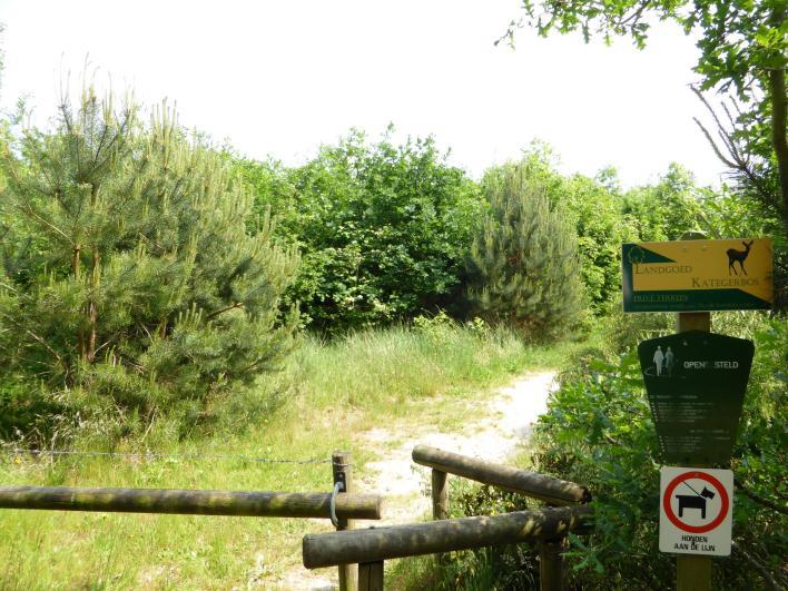 14 Landgoed Kategerbos Kategerbos, nieuwe natuur Met subsidies werd het voor boeren mogelijk gemaakt om hun landerijen terug te geven aan de natuur.