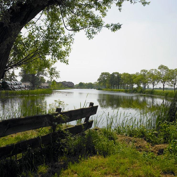 Deltaplan Agrarisch Waterbeheer: winst met water! Het agrarisch waterbeheer is de komende jaren een belangrijk onderwerp waarop LTO Nederland volop energie zet.