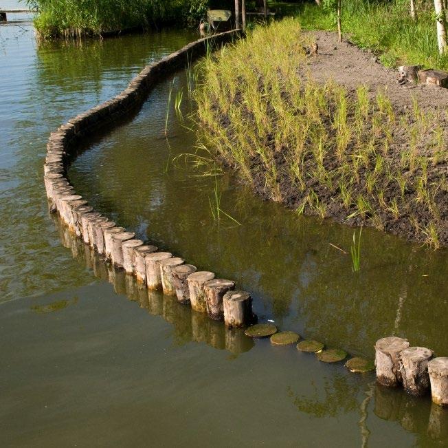 Waarom nu? Waterbewust boeren is en wordt een belangrijk thema in een moderne agrarische bedrijfsvoering, net zo belangrijk als verstandig omgaan met de bodem, energie of nutriënten.