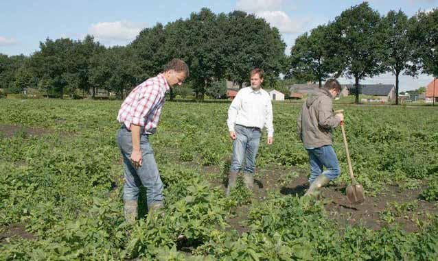 Renould Schiffelers, DLV Plant Aaltjesbeheersing is een continuproces De waarde van Actieplan Aaltjes Het Actieplan Aaltjesbeheersing heeft bereikt dat er meer en betere groenbemesters worden