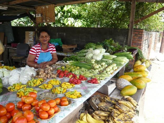 Surituin rapport: juni 2007 4 1 Inleiding In het kader van het SuriTuin project wordt onderzoek uitgevoerd met als doel de export van Surinaamse groenten te stimuleren.