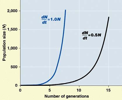 Populatiegroei N/ t =N(b-d) De groeiratio op een willekeurig