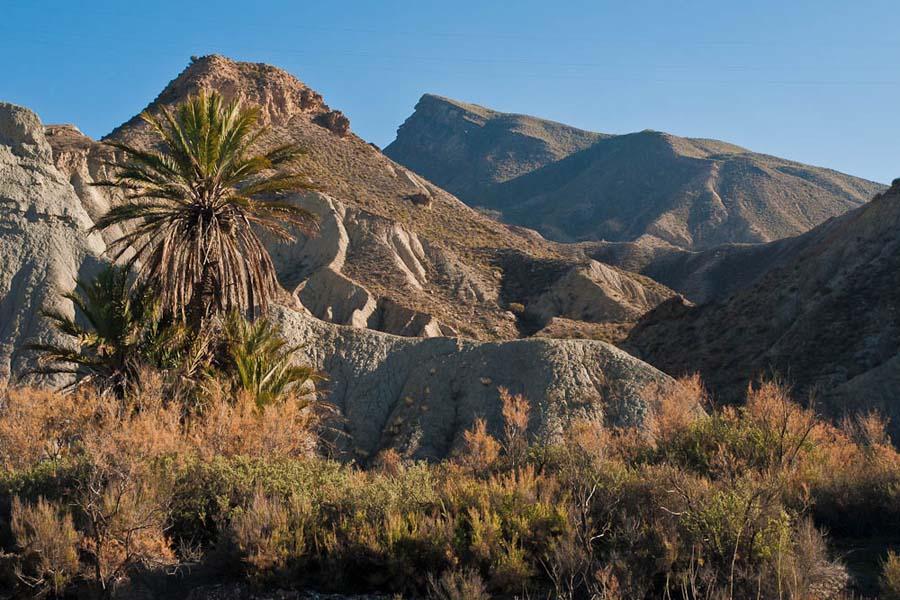 Woestijn van Tabernas Tussen de Sierra Alhamilla en de Sierra de Filabres en op slechts 40 km van Almería ligt Tabernas, Europa s enige woestijn.