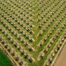 2.5 Aanvragen per provincie De provincies bepalen in het provinciale Natuurbeheerplan in welke gebieden u subsidie kunt krijgen voor agrarisch natuur- en landschapsbeheer.