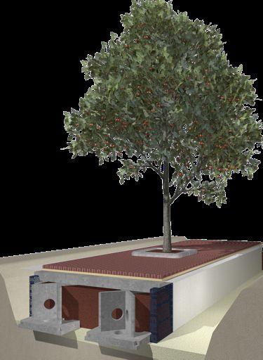 Treebox HP (High Performance) Voordelen: Alle verhardingssoorten mogelijk Draaglast tot verkeersklasse 60 De aan te brengen bomengrond kan qua minerale voorraad aan voedingsstoffen,