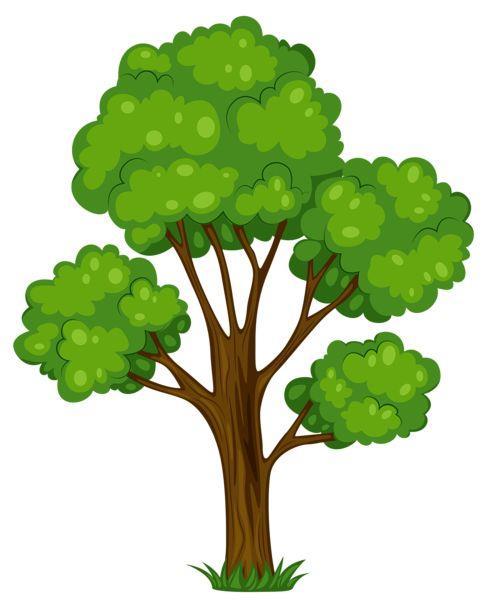 INFORMATIE EN EDUCATIE Meeste bewoners zijn voor een bomenpanel in de gemeente In veel gemeenten is een bomenpanel ingesteld.