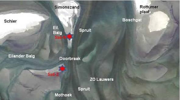 In de noordelijke kleiafzetting werden enkele plantaardige resten aangetroffen, die deden denken aan kweldergras.